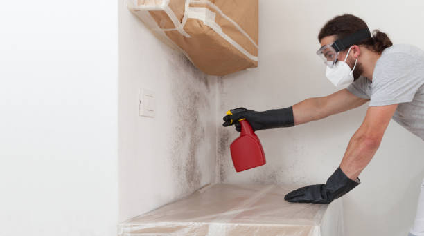 Professional Hvac And Air Duct Mold Remediation technician working in Thompsonville, MI